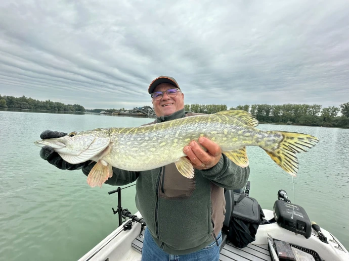 brochet en vertical