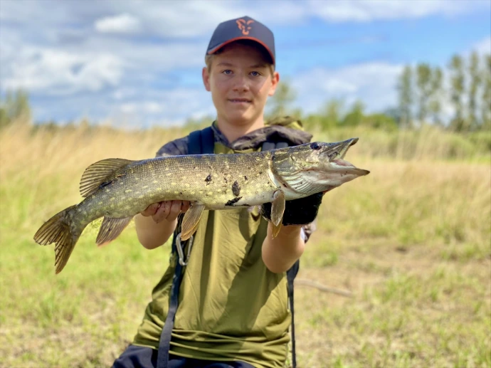 Brochet au swimbait