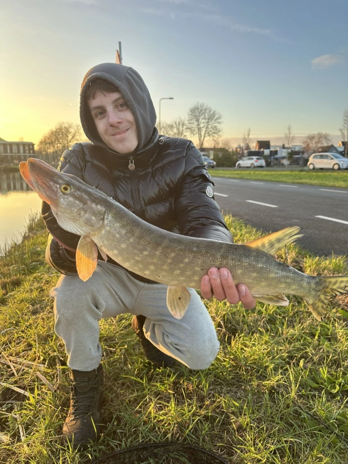 Brochet Rotterdam Arthur