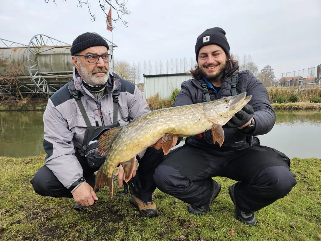 WhatsApp Image 2025-09-16 à 08.26.10_13f5024c.webp